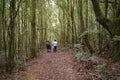 Two man walking in the middle of the Honduras forest Royalty Free Stock Photo