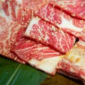 Honetsuki Karubi, Rib-on-bone It is the least fat red meat Royalty Free Stock Photo