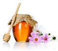 Honey Royalty Free Stock Photo