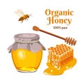 Honey set. Vector illustration in flat style. Bee, honeycomb, wooden honey dipper, glass jar full of honey. Royalty Free Stock Photo