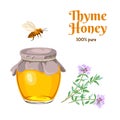 Thyme Honey isolated on white background. Vector illustration of floral, herbal honey in a glass jar