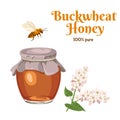 Buckwheat honey in a glass jar isolated on a white background. Natural sweetness, a bee and a branch of flowering buckwheat plant