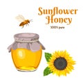 Sunflower honey in glass jar, bee and yellow blooming sunflower with green leaves isolated Royalty Free Stock Photo