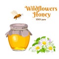 Pure wildflower honey in glass jar, flying bee and bouquet of meadow flowers isolated on white background.