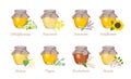 Honey of different type set. Vector illustration of a natural healthy sweet in cartoon flat style.