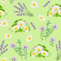 Chamomile, lavender and thyme seamless pattern. Field medicinal wild flowers and herbs isolated on green background.