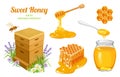 Honey set. Wooden beehive, Honeycombs, bee, honey in glass jar, honey dripping from wooden dipper, honey in metal spoon isolated Royalty Free Stock Photo