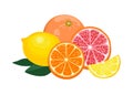 Orange, lemon, grapefruit isolated on white background. Pile of citrus