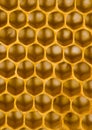 Honey Royalty Free Stock Photo