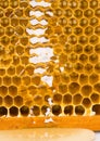 Honey Royalty Free Stock Photo