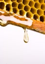 Honey Royalty Free Stock Photo