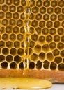Honey Royalty Free Stock Photo