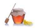 Honey Royalty Free Stock Photo