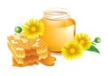 Honey Royalty Free Stock Photo