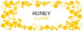 Honey abstract background with honeycomb and bee. Vector