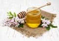 Honey with acacia blossoms Royalty Free Stock Photo