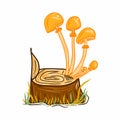 Honey agaric mushroom illustration. Colorful nature. Fungi. Idea for decors, autumn holidays, environment themes. Royalty Free Stock Photo