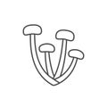 Honey agaric mushroom line icon