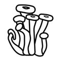 Honey agaric mushrooms icon. Hand drawn armillaria mellea edible fungus