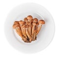 Honey agarics in plate Royalty Free Stock Photo