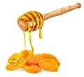 honey with apricots Royalty Free Stock Photo