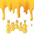 Honey background