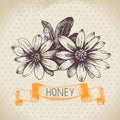 Honey background with hand drawn sketch illustration Royalty Free Stock Photo