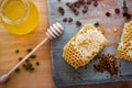 Honey background. Sweet honey in a glass jar, honeycombs, propolis and pollen on the table Royalty Free Stock Photo