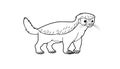 Honey badger, cartoon style coloring book, black and white isolated image, illustration, one line