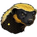 Honey Badger Vector Illustration with Honeycomb Pattern Royalty Free Stock Photo