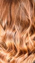 Honey Balayage Hair Royalty Free Stock Photo