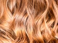 Honey Balayage Hair Royalty Free Stock Photo