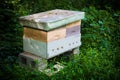 Honey Bee Apiary Royalty Free Stock Photo