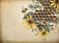 Honey bee and apiary Royalty Free Stock Photo