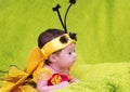 Honey Bee Baby Royalty Free Stock Photo