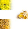 Honey Bee banner