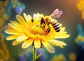 Honey bee and beautiful yellow flower spring summer season Wild nature landscape banner. Generative AI Royalty Free Stock Photo