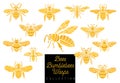 Honey bee bumblebees wasps set sketch style collection insert wi