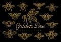 Honey bee bumblebees wasps set sketch style collection insert wi