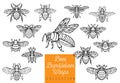 Honey bee bumblebees wasps set sketch style collection insert wi