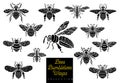 Honey bee bumblebees wasps set sketch style monochrome collection insert wings emblem symbols