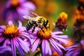 Honey bee collecting nectar and pollen from a colorful wildflower on a meadow on a sunny day morning