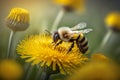 Honey bee covered collecting nectar from dandelion flower, Generative AI Royalty Free Stock Photo