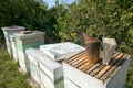 Honey bee farming boxes and bee-keeping equipment Royalty Free Stock Photo