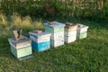 Honey bee hive boxes and bee-keeping equipment Royalty Free Stock Photo