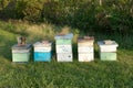 Wooden bee farming boxes and bee-keeping equipment Royalty Free Stock Photo