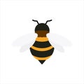 honey bee flat design vector illustration. Cute Bumble Bee. bumblebee character logo mascot Royalty Free Stock Photo