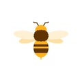 honey bee flat design vector illustration. Cute Bumble Bee. bumblebee character logo mascot Royalty Free Stock Photo