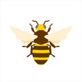 honey bee flat design vector illustration. Cute Bumble Bee. bumblebee character logo mascot Royalty Free Stock Photo