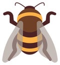 Honey bee flat insect icon. Bumblebee symbol